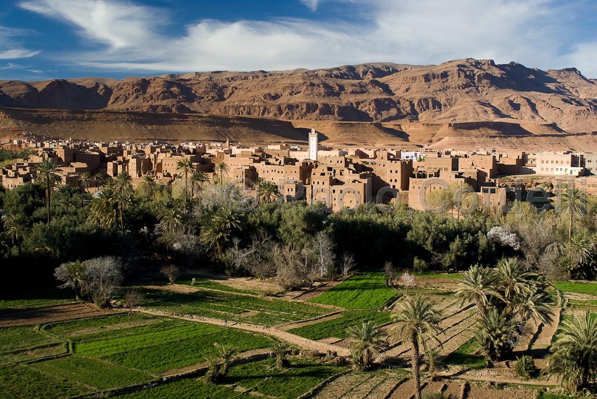 Tinerhir village, Morocco
 (cod:Morocco 18)